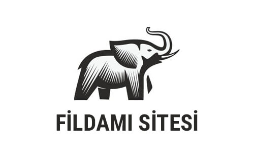 fildamı sitesi güvenlik