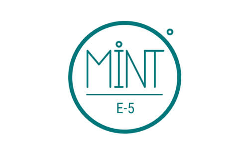 mint e5 güvenlik