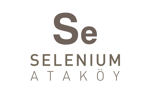 selenium ataköy güvenlik